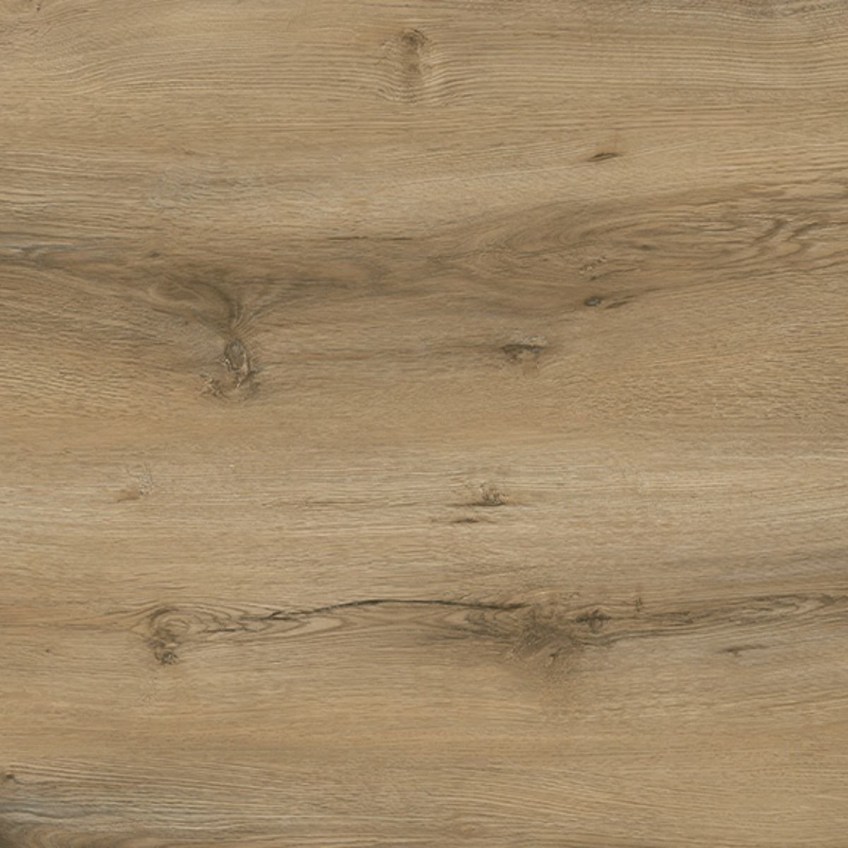 P210 Canyon Oak SPC Parke
