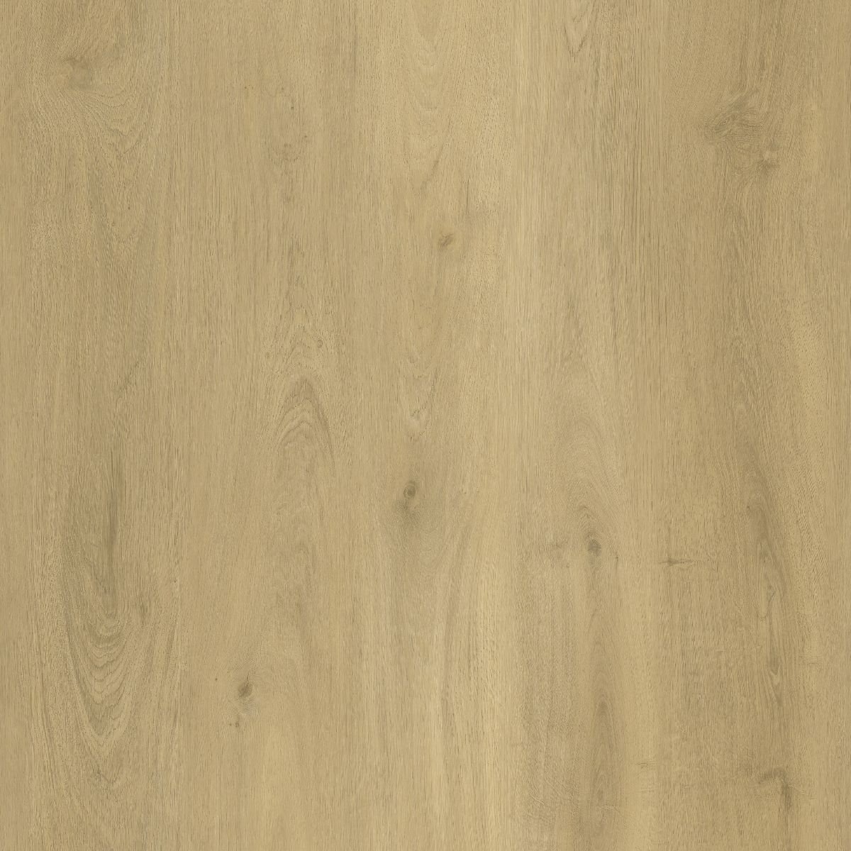 205 Buttermilk Oak 96x280 SPC Panel