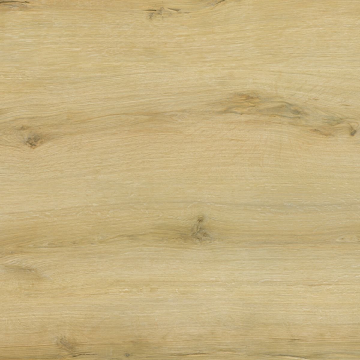 P203 Sunlit Oak SPC Parke