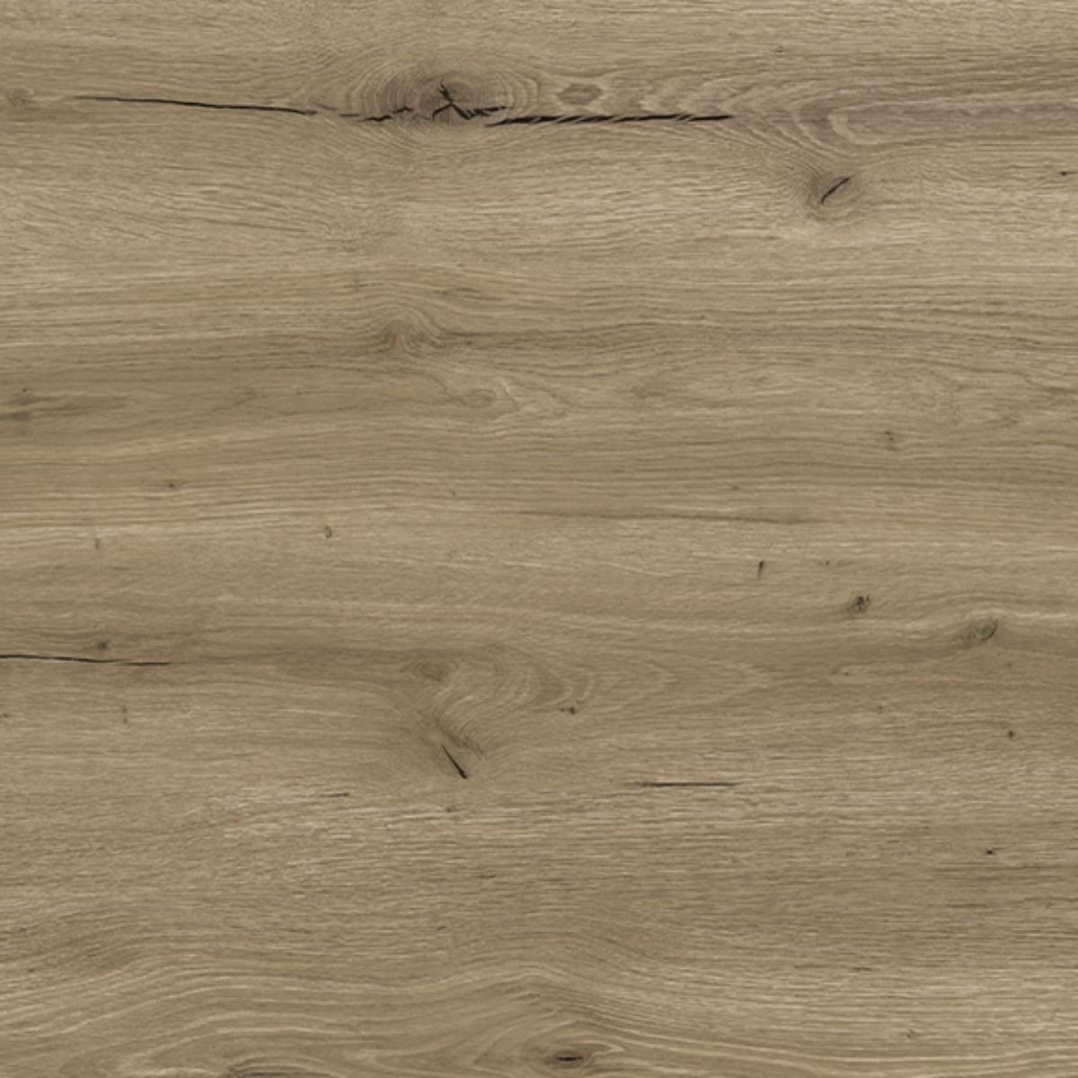P304 Oatmeal Oak SPC Parke